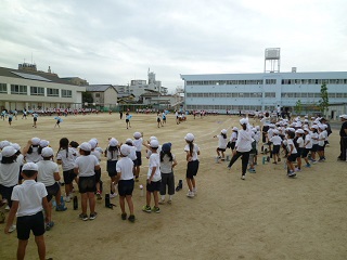 藤小にかかる虹