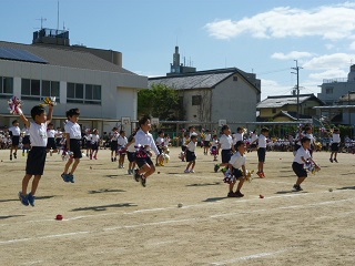 藤小にかかる虹