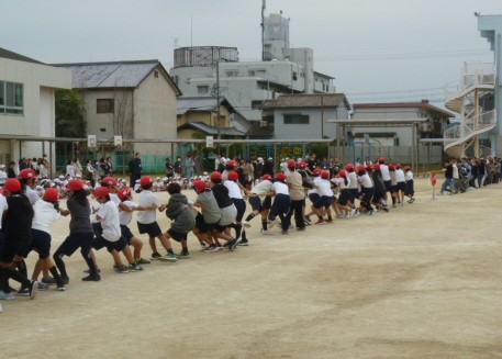 藤小にかかる虹